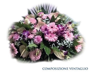 COMPOSIZIONE - VENTAGLIO